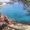 Paola Lopez's Photo