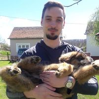 Dominik Abramović's Photo