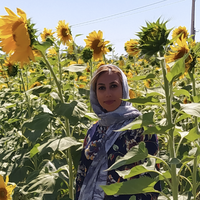 Zahra Mohammadi的照片