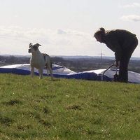 Le foto di Michael Gessert