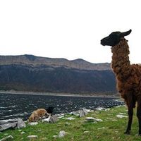 Majo Zaranmundinga的照片