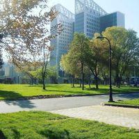 Mohamed SACI's Photo