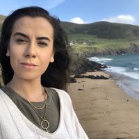 Allison Wright的照片