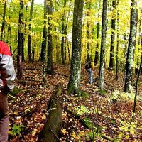 Grant Forsythe's Photo