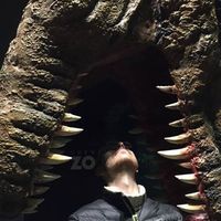 Photos de Mikkel Andresen