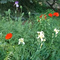 Christina Kampf's Photo