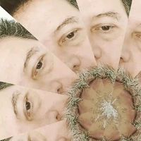 Passarinho, Arthur Gatto's Photo