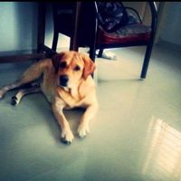 Stephy Graph's Photo