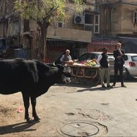 Casper Schantz的照片