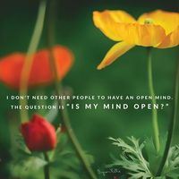 Photos de Elisabetta Canderle