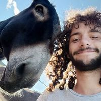 Stefano Priorelli's Photo