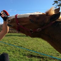 Rafael Carlos  Muñoz Plaza's Photo