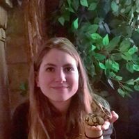 Veronika Vilé的照片