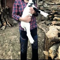 farah nazeri的照片