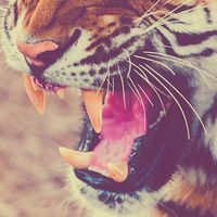 Photos de Mitya Bushuev