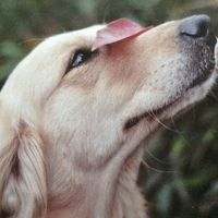 Yiling Xiao的照片