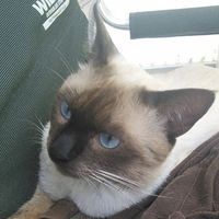 寿美子 小川的照片