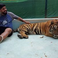 Luiz Aurio Cordeiro Junior's Photo