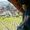 Dan Stokoe's Photo