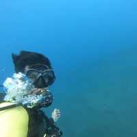 Bassem Boubaker的照片