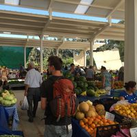 Tim Verhaert's Photo