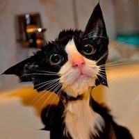 Paolo Balestrieri's Photo