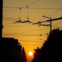 Le foto di Kamelia Khalil