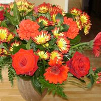 Fotos de nathalie beaumel