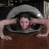 Rachel Stockwell's Photo