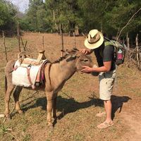 Bruno Raul Vargas Garcia's Photo