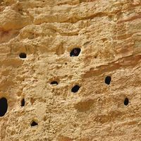 Bikash Burma's Photo