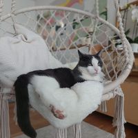 Joanna Lani的照片