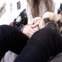 Helle Lindskog的照片