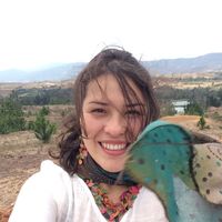 Lina Mayorga's Photo