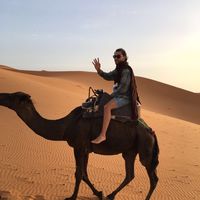 Mert Nezor's Photo