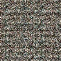 Ammar Nurković的照片