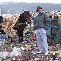 Nebojsa Jovanovic's Photo