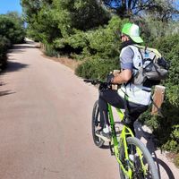 Brain  Chico的照片