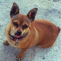 Photos de Magdas Leben