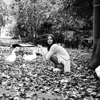 Bambi Moonie的照片