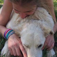 Lauren Lewis's Photo