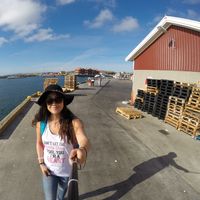 Amanda Cheng的照片