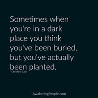 Fotos von Erin Erickson