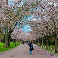 Pani Bandara的照片