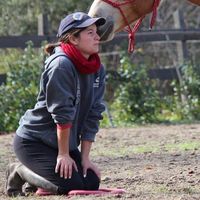 Joyce Sauriol的照片