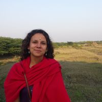 Carolina Santos's Photo