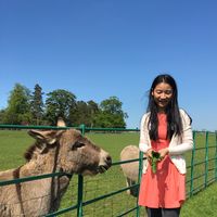 Ginger Jing的照片