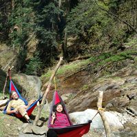 Niharika Rakheja的照片