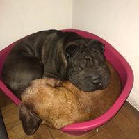 Photos de Camila Segura