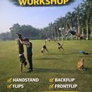 Calisthenics, Gymnastics & Mobility Workshop's picture